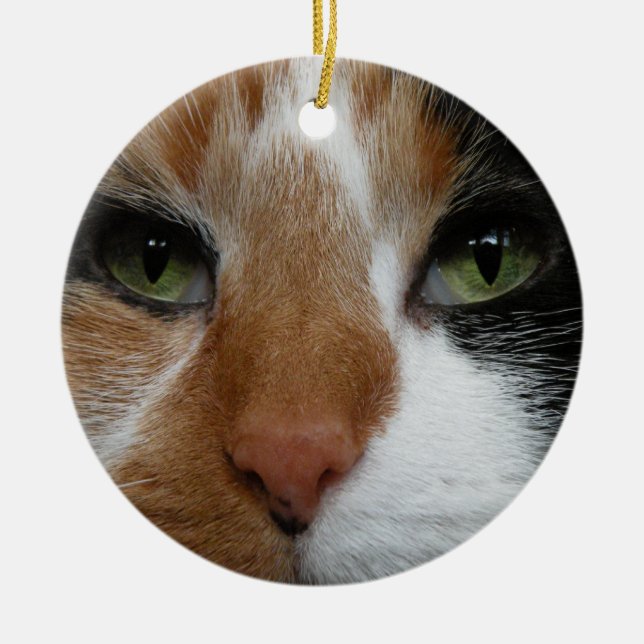 Ornement Rond En Céramique L'ornement du chat de Calico (Devant)