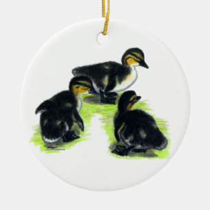 Ornement Rond En Céramique Mallard Ducklings
