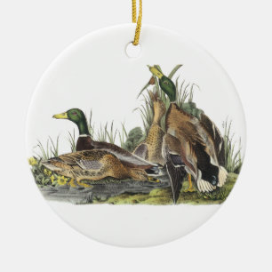 Ornement Rond En Céramique Mallard, John Audubon