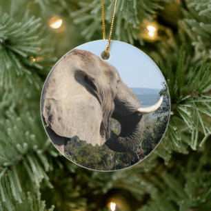 Ornement Rond En Céramique Manger des éléphants sauvages, Afrique du Sud