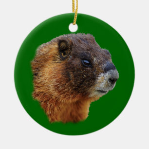 Ornement Rond En Céramique marmotte drôle