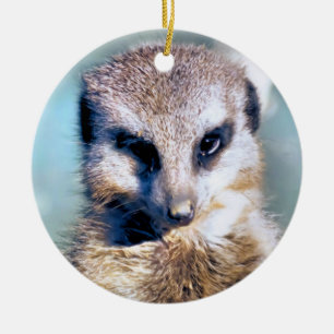 ORNEMENT ROND EN CÉRAMIQUE MEERKAT
