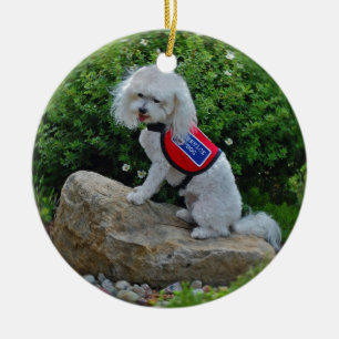Ornement Rond En Céramique Mme Dolly MaltiPoo