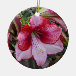 Ornement Rond En Céramique Noël Amaryllis Rouge Fête Florale