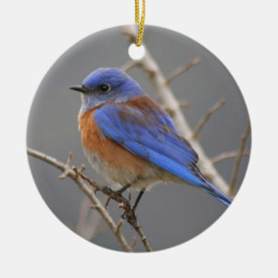 Ornement Rond En Céramique Oiseau bleu occidental