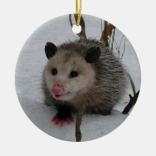 Ornement Rond En Céramique Opossum