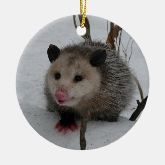 Ornement Rond En Céramique Opossum (Devant)