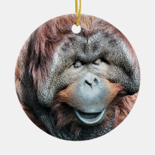 ORNEMENT ROND EN CÉRAMIQUE ORANGUTANS (Devant)
