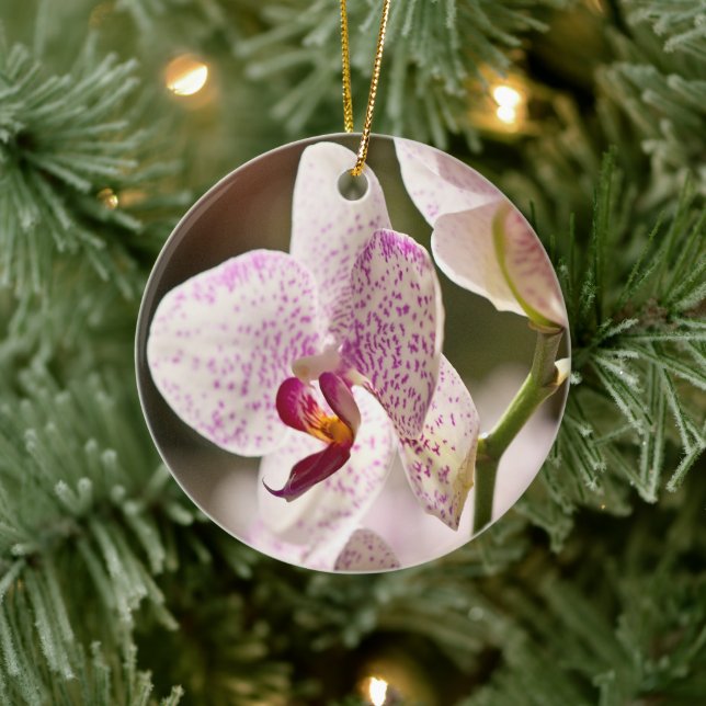 Ornement Rond En Céramique Orchidées par Shirley Taylor (Arbre)