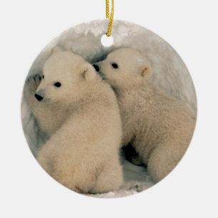 Ornement Rond En Céramique Ours blanc d'Alaska CUB