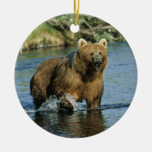 Ornement Rond En Céramique Ours de Kodiak