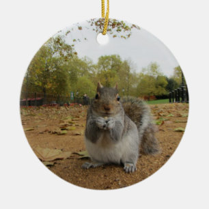 Ornement Rond En Céramique Parc Hyde Park d'écureuil gris.