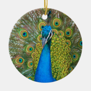 Ornement Rond En Céramique Peacock S9K.jpg
