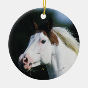 Ornement Rond En Céramique Peignez le Headshot 3 de cheval