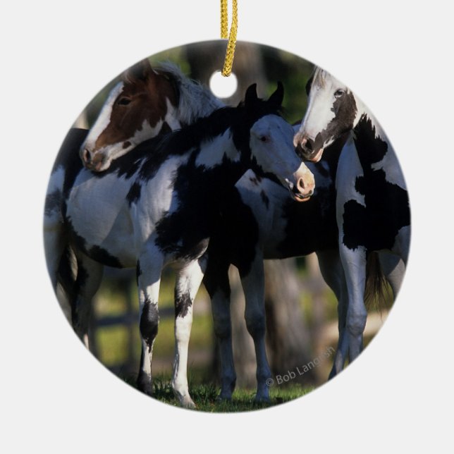 Ornement Rond En Céramique Peignez les chevaux (Devant)