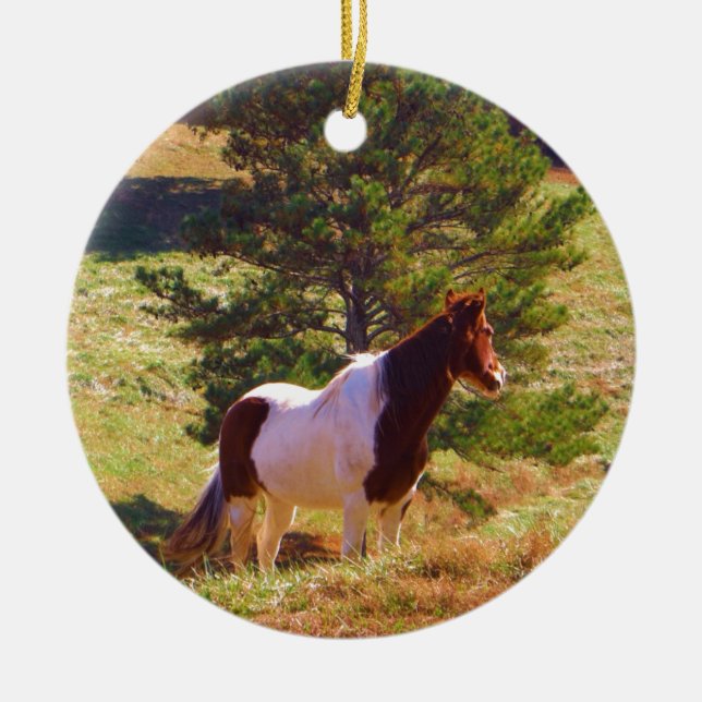 Ornement Rond En Céramique Peint Poney par le pin (Devant)
