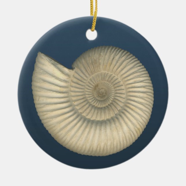 Ornement Rond En Céramique Perisphinctes Ammonite (Devant)