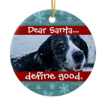Petit chat ou chien animal de compagnie Noël Ornem