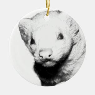 Ornement Rond En Céramique Photo Albino Ferret