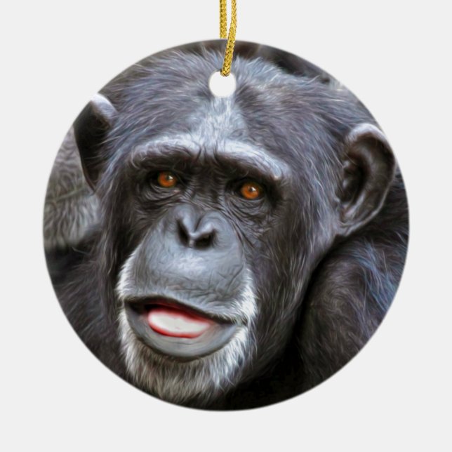 Ornement Rond En Céramique Photo de chimpanzé (Devant)