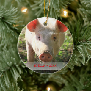 Ornement Rond En Céramique Photo et nom de l'arbre de Noël pour animal de com