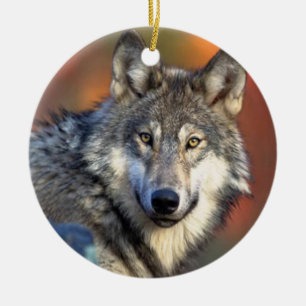 Ornement Rond En Céramique Photographie de loup