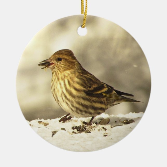 Ornement Rond En Céramique Pin Siskin (Devant)