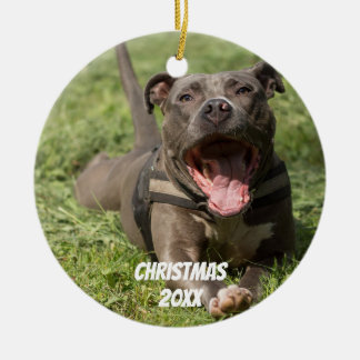 Ornement Rond En Céramique Pitbulle Brown modifiable en herbe