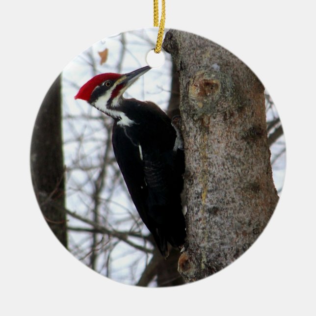 Ornement Rond En Céramique Pivert de Pileated (Devant)