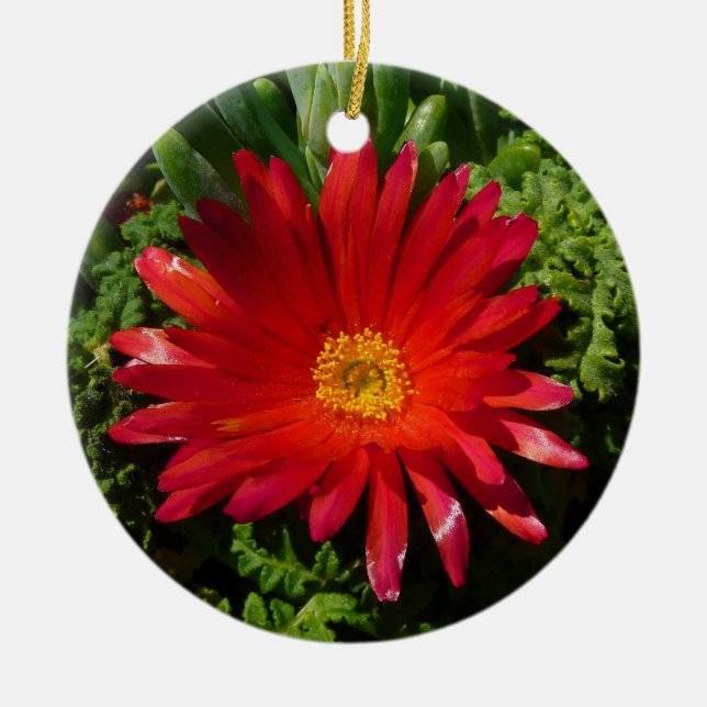 Ornement Rond En Céramique Plante de moquette couleur rouge à fleur de glace (Devant)