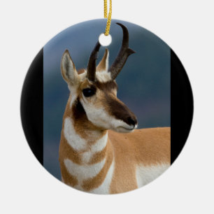 Ornement Rond En Céramique Portrait de Pronghorn