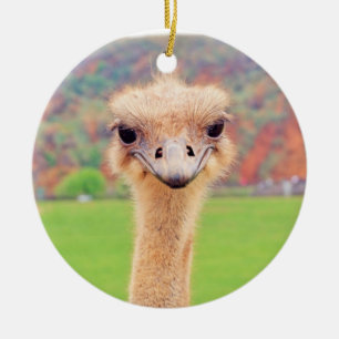 Ornement Rond En Céramique Portrait d'Ostrich