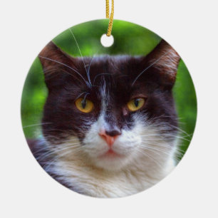 Ornement Rond En Céramique Portrait Tuxedo