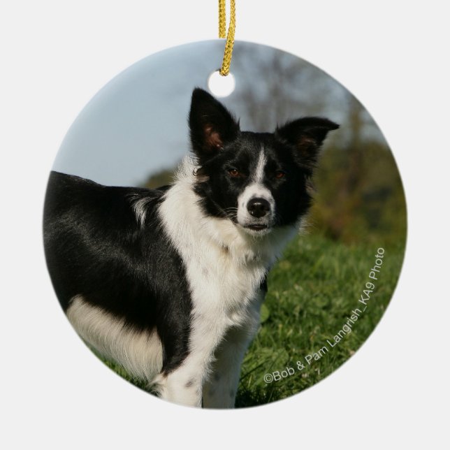 Ornement Rond En Céramique Position de border collie (Devant)