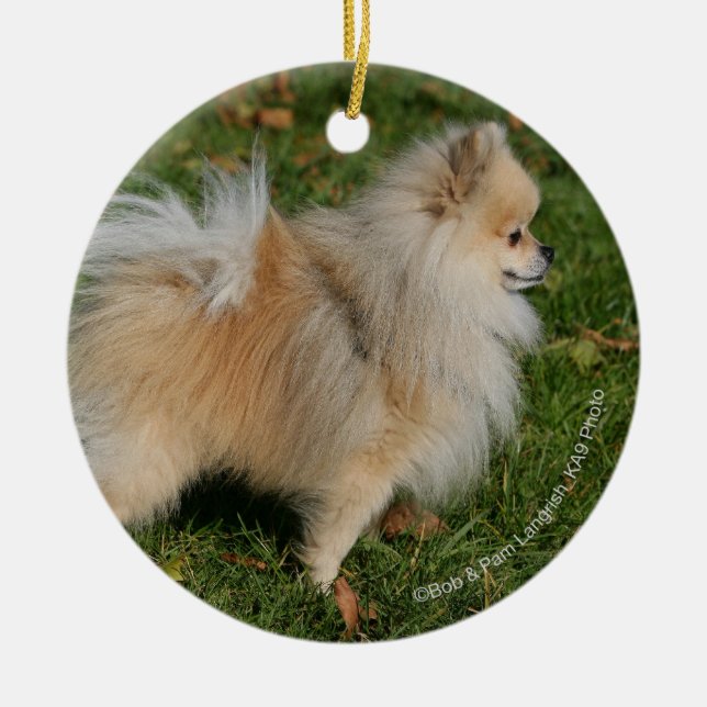 Ornement Rond En Céramique Position de Pomeranian (Devant)