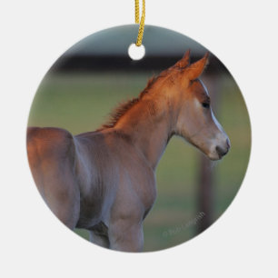 Ornement Rond En Céramique Poulain quart de cheval