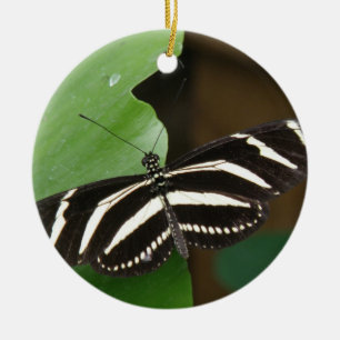 Ornement Rond En Céramique Pretty Zebra Longwing Butterfly Ornament