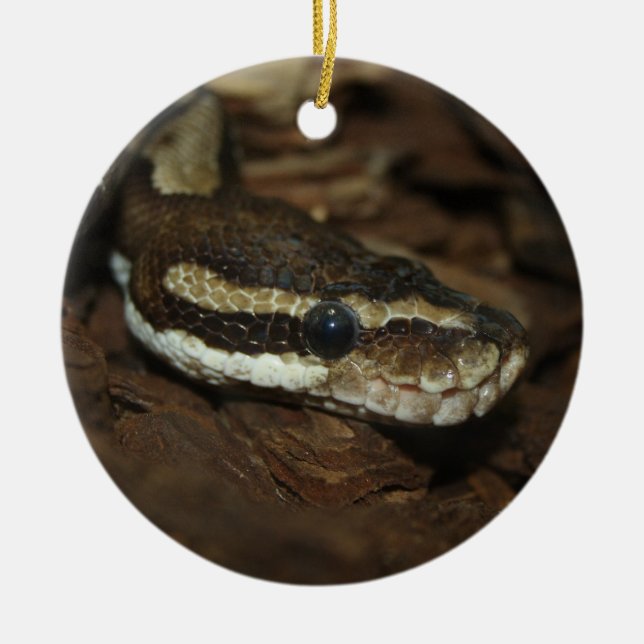 Ornement Rond En Céramique Python de tapis (Devant)