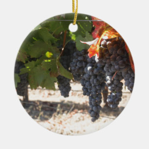 Ornement Rond En Céramique Raisins de pays de vin