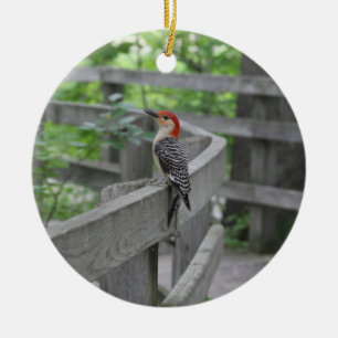 Ornement Rond En Céramique Red-bellied woodpecker ornament