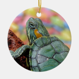 Ornement Rond En Céramique Red-eared slider turtle