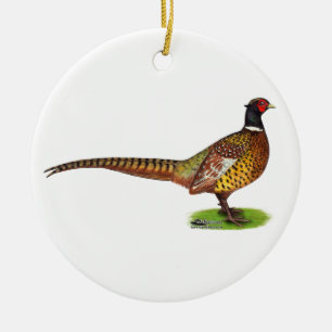 Ornement Rond En Céramique Ringneck