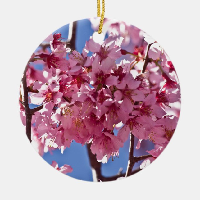 Ornement Rond En Céramique Sakura Cherry Blossoms Red Stars (Devant)