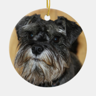 Ornement Rond En Céramique Schnauzer miniature