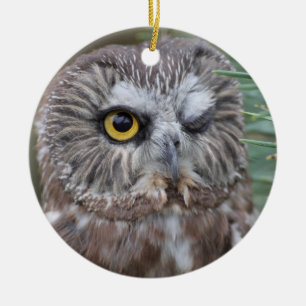Ornement Rond En Céramique Scie-affûtez le hibou
