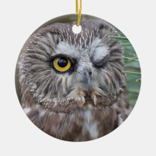 Ornement Rond En Céramique Scie-affûtez le hibou (Devant)