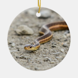 Ornement Rond En Céramique Serpent de jarretière
