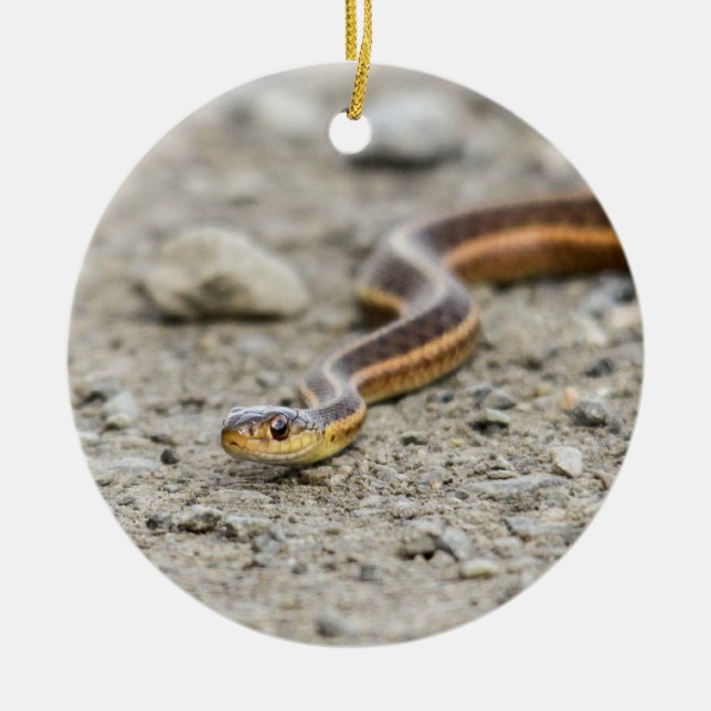 Ornement Rond En Céramique Serpent de jarretière (Devant)