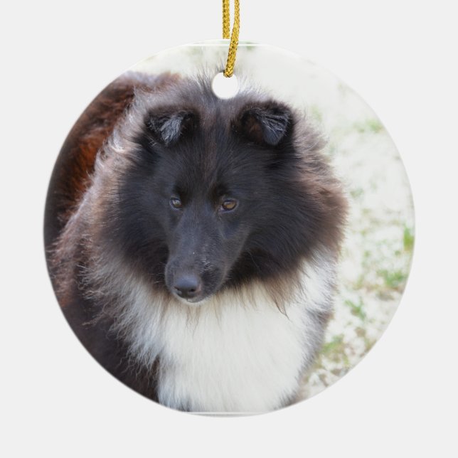 Ornement Rond En Céramique Sheltie noir et blanc (Devant)