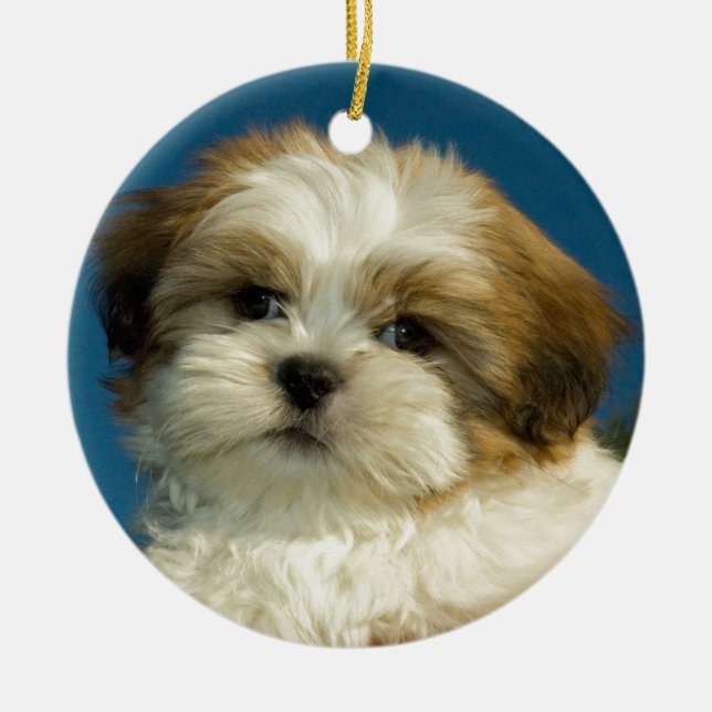 Ornement Rond En Céramique Shih Tzu (Devant)
